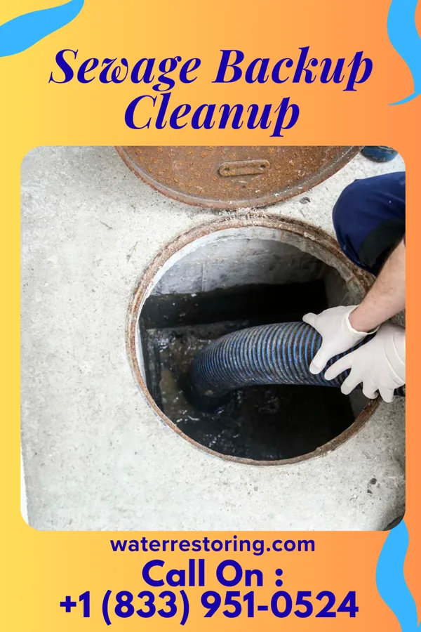 Sewage Backup Cleanup in Kernersville, NC