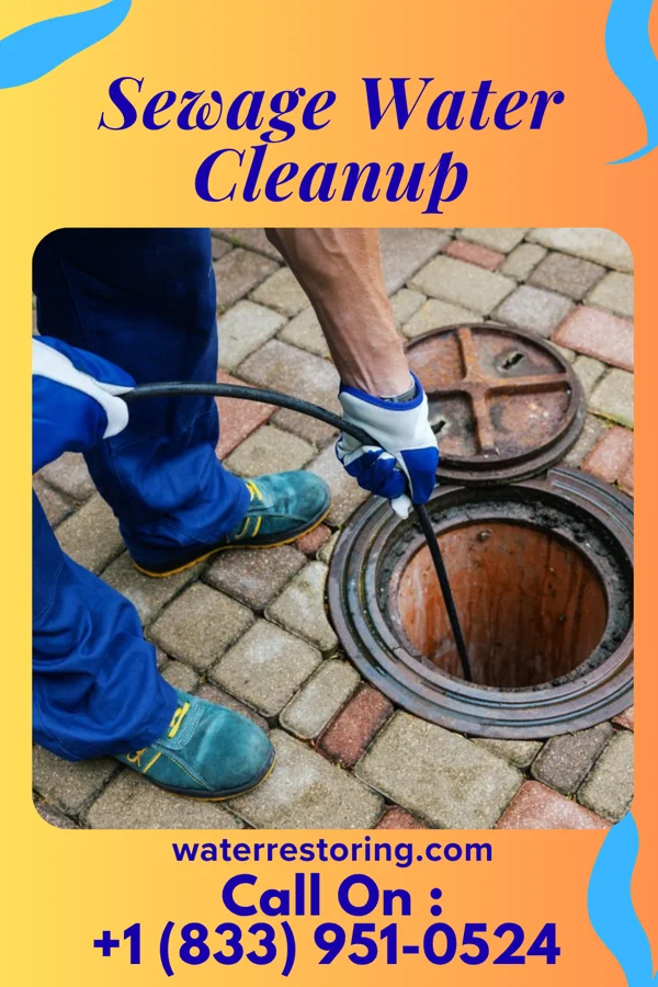 Sewage Water Cleanup in Kernersville, NC