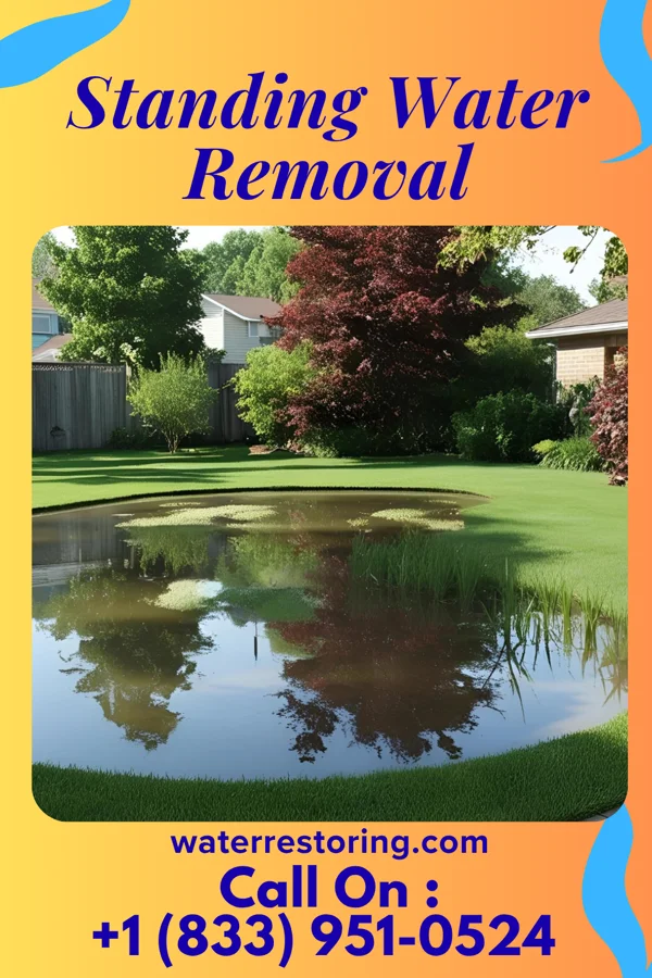 Standing Water Removal in Kernersville, NC